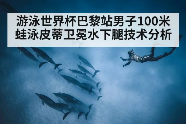 游泳世界杯巴黎站男子100米蛙泳皮蒂卫冕水下腿技术分析