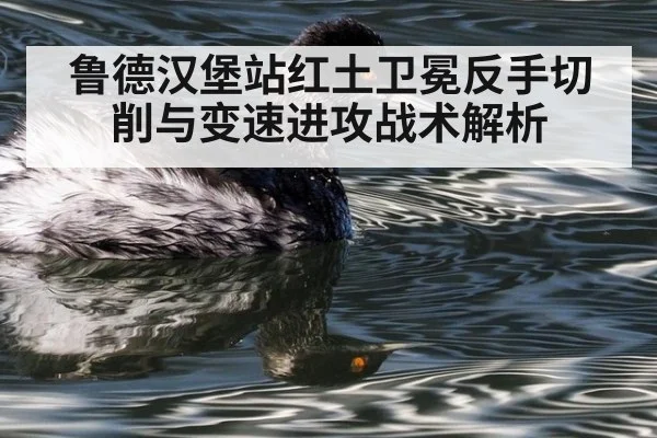 鲁德汉堡站红土卫冕反手切削与变速进攻战术解析