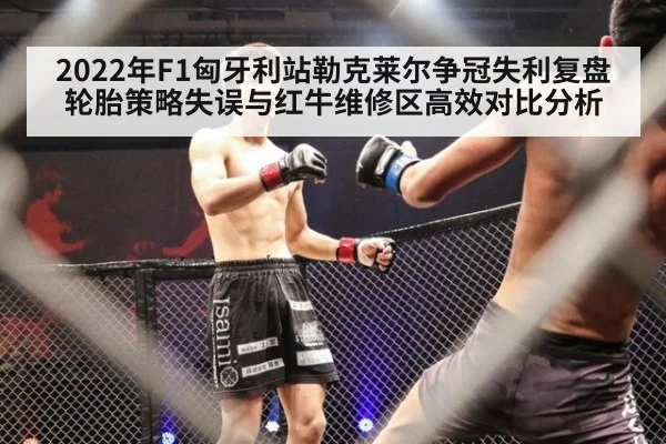 2022年F1匈牙利站勒克莱尔争冠失利复盘 轮胎策略失误与红牛维修区高效对比分析